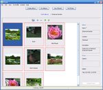 Bloom for Mac