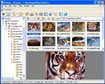 NConvert (32-bit) for Linux