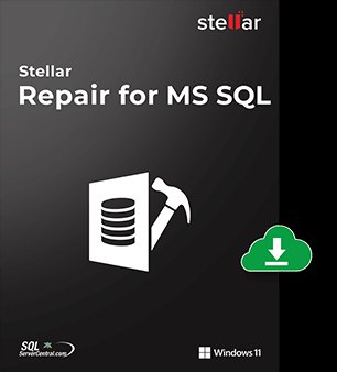 SQL Server Database Recovery