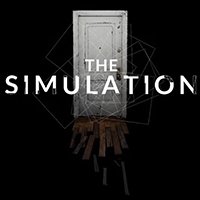 The Simulation