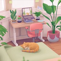 Urban Jungle